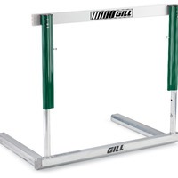 hurdle